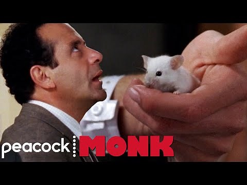 Adrian Meets Devo | Monk