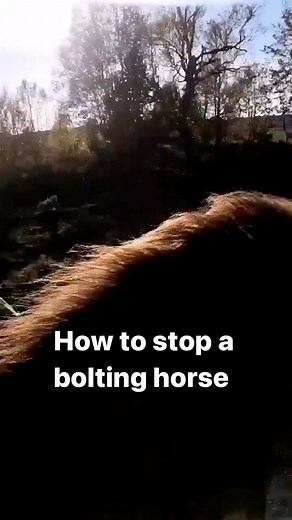 37K views · 143 reactions | The guide does it again! Yep that’s me.....