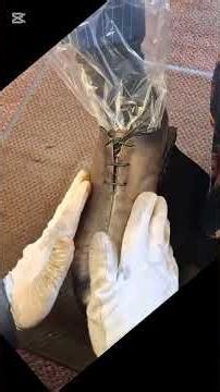 ベネチアンレザーと言えばベルルッティ