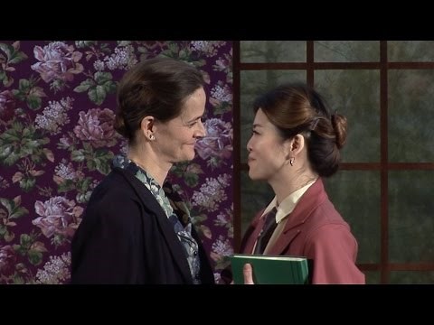 BULL IN A CHINA SHOP Montage