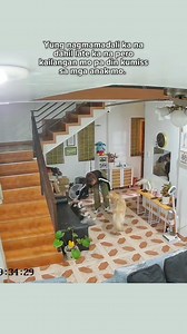 Baon yang kiss na yan e, di pwedeng kalimutan. 😆 | Shiloh & Liora