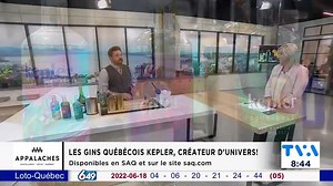 MIXOLOGIE | Des cocktails accessibles et rafraîchissants, faits avec des alcools d'une distillerie bien d'ici, ON AIME! ❤🍹 Pour tous les détails des recettes : https://www.salutbonjour.ca/2022/06/19/3-cocktails-faits-avec-des-gins-de-levis | Salut Bonjour