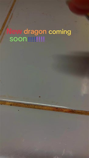 ◯⬤•Lily•⬤◯ (@lilyandherdragons)’s video of dragons