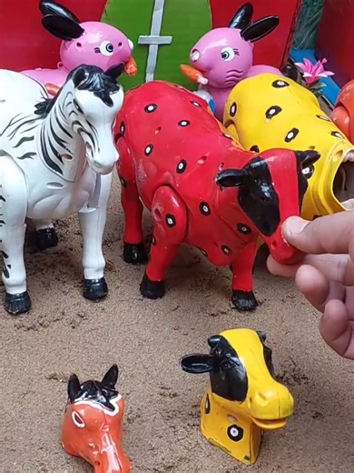 Proses Potong Sapi untuk Kurban