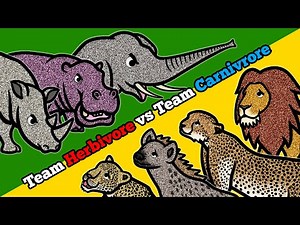 Who Is The Strongest Safari Animal? | Herbivore Animals Unite To Keep Away Carnivore Animals