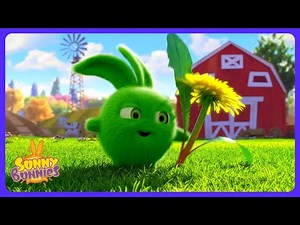 Sunny Bunnies - Magic Dance! 🪄 | Kids Cartoons | WildBrain Learning Lab