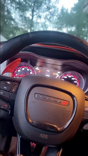 Cammed Charger RT Idle 😰 #mopar #moparornocar #dodge #rtcharger #racing #dragrace #cammed #carshort