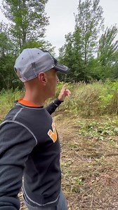 Food plot creation update ☘️ #foodplot #hunting #wildlife | Vantage Point Outdoors | Facebook