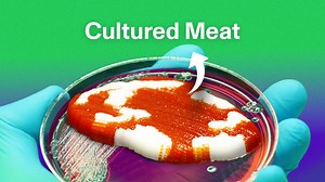 Cultivated Meat Might Just Be the Future of Food