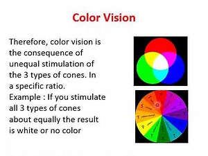 Lec 65 Light- dark adaptation cycle and color vision. Physiology