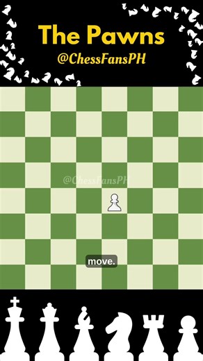 Pawn Rules Every Beginner in Chess Must Know