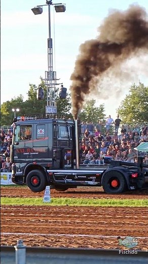 DAF 95 XF - Truck Pulling