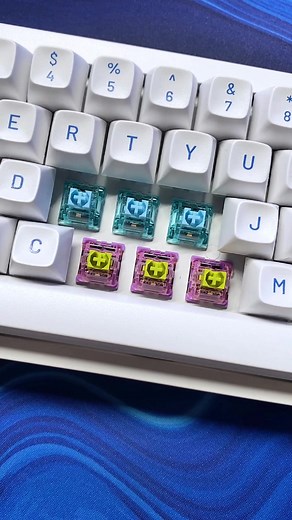 Akko Jelly Blue & Starfish Switches Review