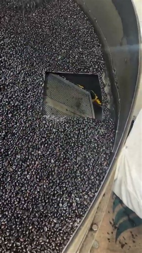 Inside an Industrial Coffee Roaster | Coffee Bean Roasting Process