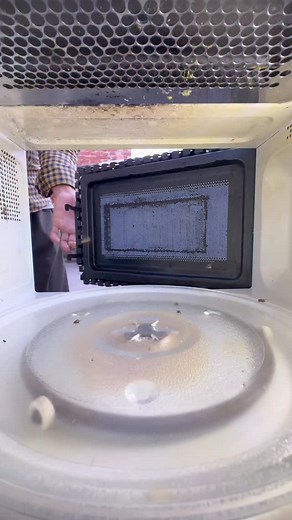 Microwave vs fish 🐟 #experiment #science #microwave #fblifestyle | Mrwaves