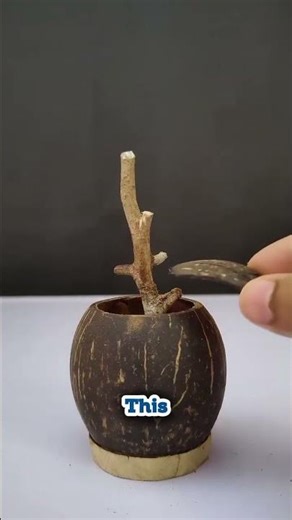 Turning Coconut Shell into a Beautiful Flower! 🥥✨ #DIY #Crafts