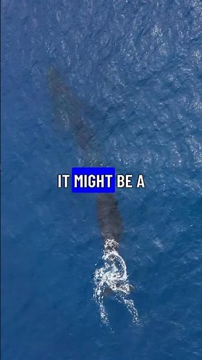 The Bloop: The Ocean's Most Mysterious Sound Finally Explained!