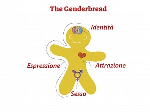 The Genderbread