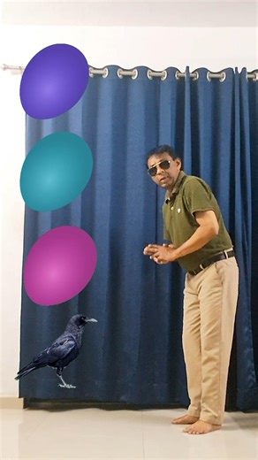 parrot pingen crow peacock 🦚#shortsfeed​​​ #vairalvideo​​​ #shortsfeed​​​ #shorts​​​ #trending​​​