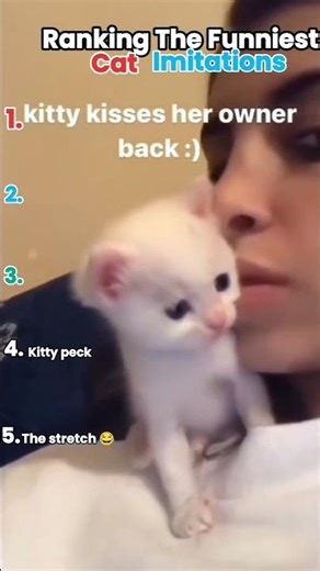 😺🐈#cat #carlovers #catvideos #funnyanimals #funny