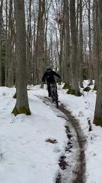 Funny day in the Snow with the bike ❄️🤘🏻 #mtb #downhill #maxreinhardt