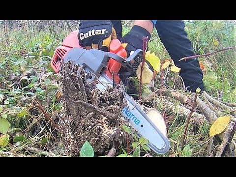 Husqvarna T525 Top Handle Chainsaw, ( In Action )