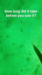 15K views · 121 reactions | STABBING A LEMON SOLE  #eatwhatyoucatch #sustainability #spearfishing #freediving | Corokinaboy | Facebook