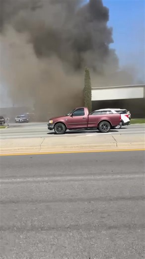 IAFF Savannah Firefighters on Reels