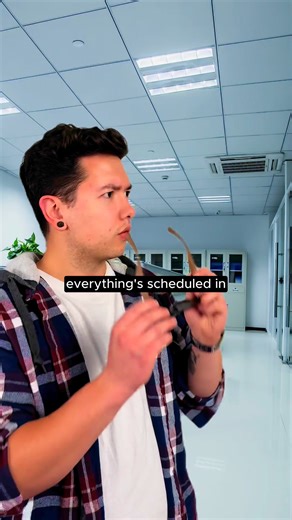 11K views · 8.3K reactions | Be 137% more productive. | Motion | Facebook