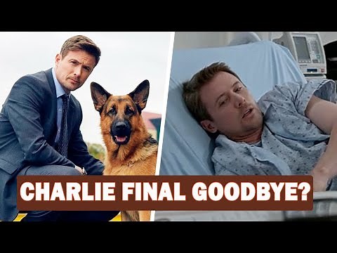 Hudson & Rex Season 7 Finale: Charlie Hudson SHOT & Missing! Is This John Reardon’s Final Episode?