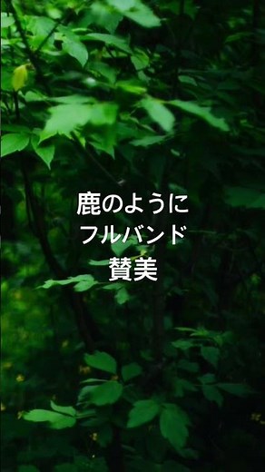 鹿のように フルバンド 賛美 #worship #讃美歌 #バンド#鹿のように #asthedeer