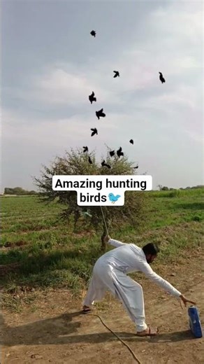 amazing hunting birds #gianteagle #birds #harehunting #hunting #villagelife #birds