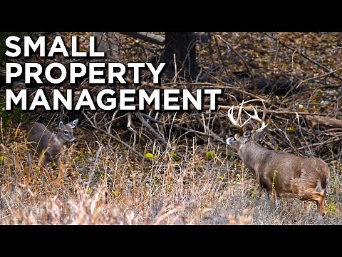 Bedding Or Food?? | FIRST Step On A SMALL Property!!