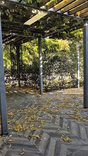 5.9K views · 77 reactions |  A mai menüajánlatunk verhetetlen: Jókai bableves, Gundel palacsinta  Rendelj most, mert gyorsan fogy! Kövess be minket! :) A Menza Szívügyünk a főzés.❤️ 吝 XXI. Csepel, Szent Imre tér 10.  06706004744  Nyitvatartás: H-P 10:30-18:00  Változatos ételek, napi menü, állandó kínálat kiszállítással és helyben fogyasztással.  csepelimenza.hu | A Menza | Facebook