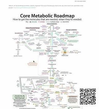 Metabolic notes: outlines, figures, videos, etc. all in a centralized location