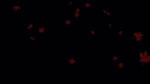 Download Seamless Falling Leaves Loop - Autumn Background Animation for free