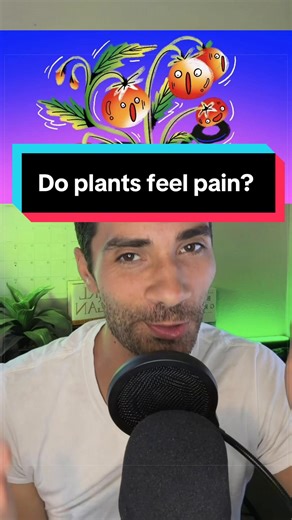 Do Plants Feel Pain? An Investigation