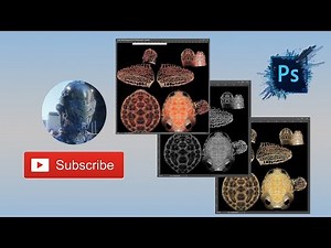 Making SSS subsurface scattering textures in Photoshop CC 2017 for Carey Turtle - Part 11