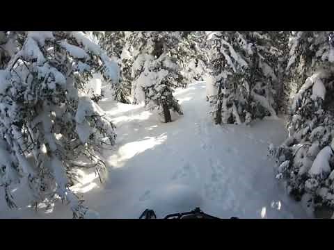 2021 Ski-Doo Expedition SWT off trail