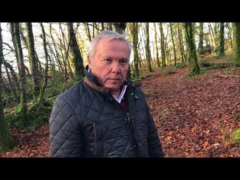 Dresser votre chien au rappel