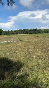 Archie Hilario -Pobreng Vlogger on Reels