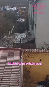 🆘 Novoroční záchrana s dobrým koncem ❤️ Hned 1.ledna nám volala paní, že z okna vidí ve dvoře areálu jedné firmy malého, zanedbaného pejska. Podle jejích slov tam byl už déle, ale teď už začal kulhat a bylo vidět, že je na tom zdravotně hůř.😔 Žil v rozpadlé boudě, měl jen kýbl se zmrzlou vodou a granule mu chodila sypat právě oznamovatelka, protože se bála, že mrazy nepřežije. A tak nakonec zavolala nám.🙏 Rozjela se rychlá akce.💪 Dovolali jsme se majiteli areálu, který ho koupil teprve nedáv