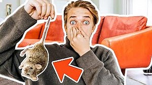 54K views · 873 reactions | Guys! You'll never believe what we found...