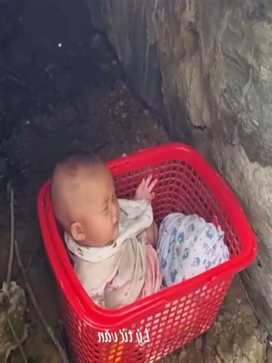 Public Safety Lessons from Everyday Urban Situations