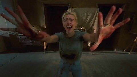 The Faceless Lady (TV Mini Series 2024– )