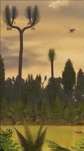 Bosques mineros de carbón #historia #documental #insectos