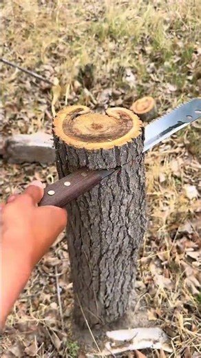 New type of manganese steel logging saw Tools Good Tools For Recommendations #shortsfeed
