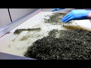 How-To Dry Sift w/ screens from Freshheadies.com