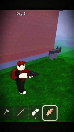 👉 “Wolf Fight + Secret Chest 😨🔥 | Roblox 99 Nights in the Forest #shorts” #roblox