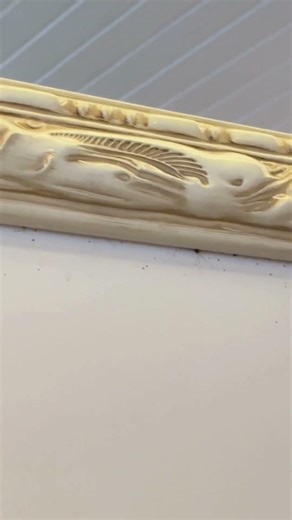 Cockroach Infestation? Act Fast! #shorts